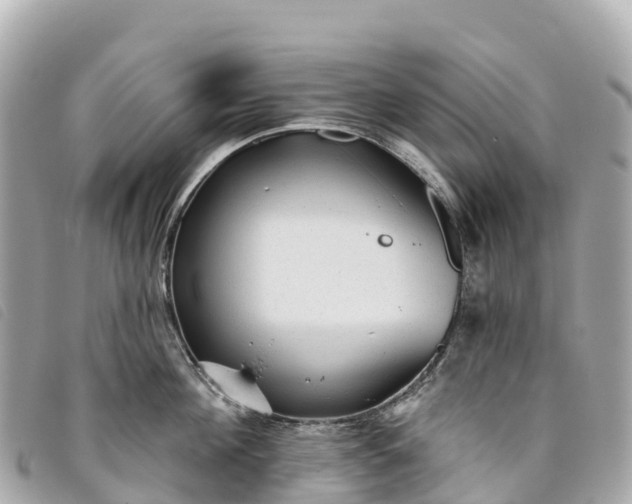 X0000093500908200710261135