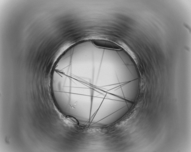 X0000093500909200710261135