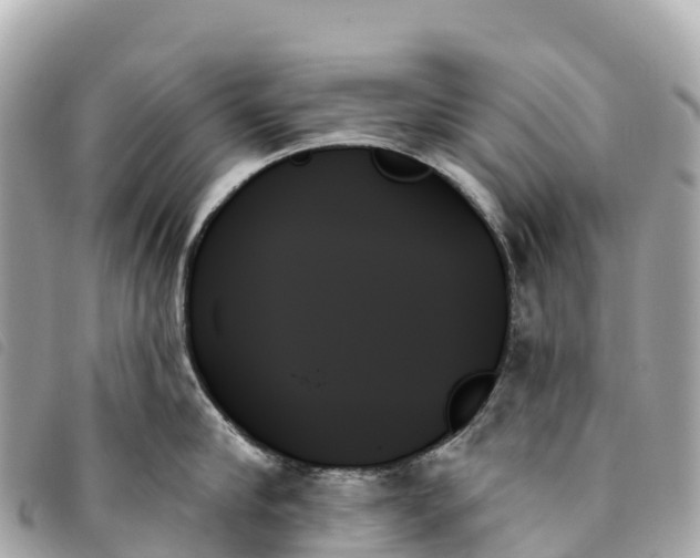 X0000093500910200710261135