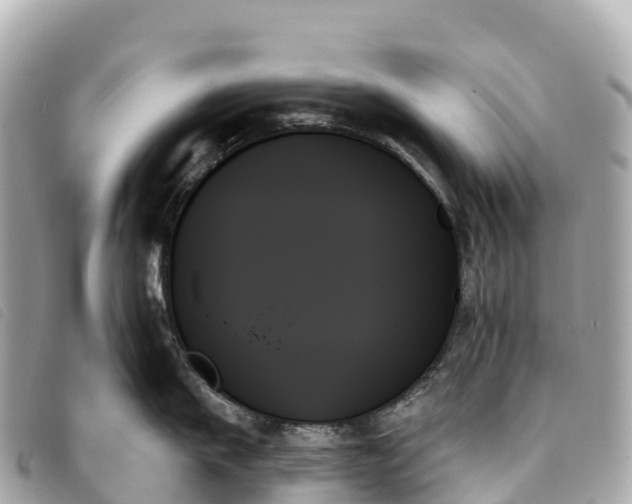 X0000093500911200710261135