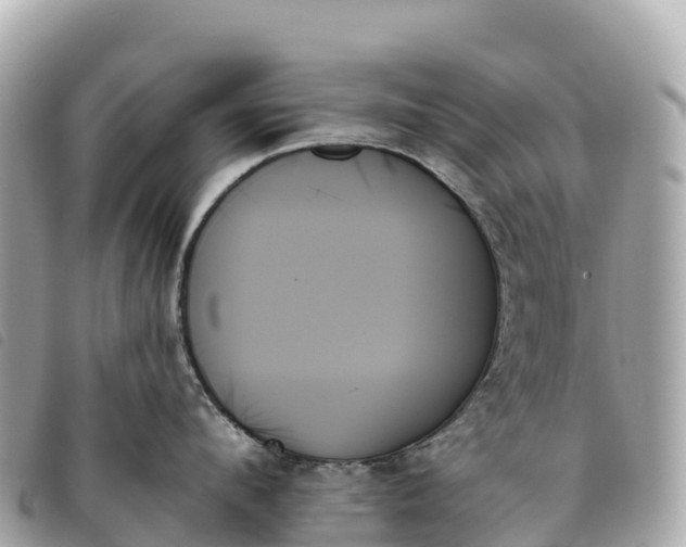 X0000093500912200710261135