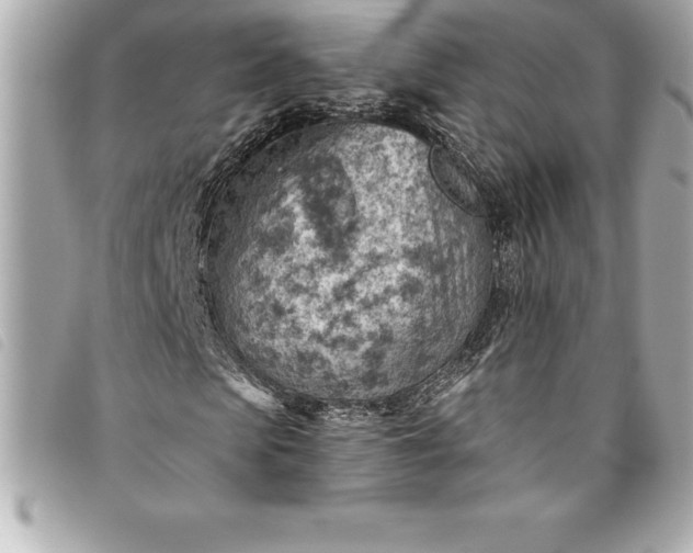 X0000093500913200710261135