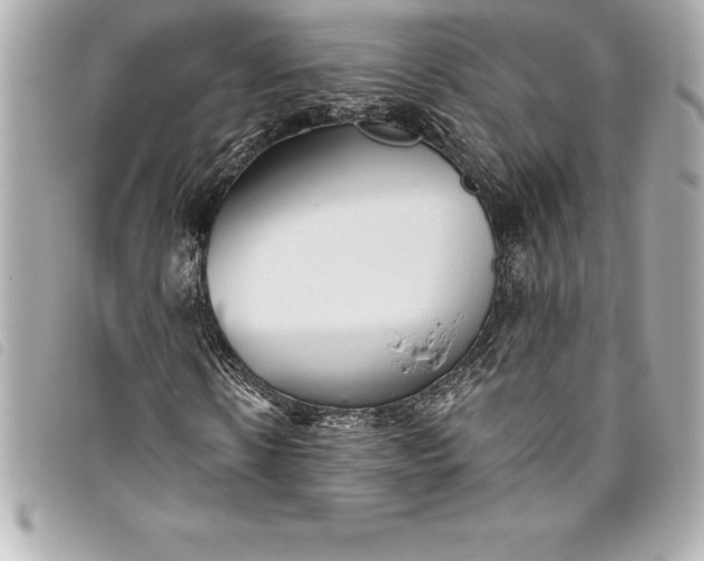 X0000093500914200710261135