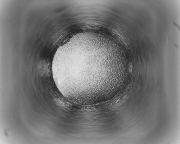 X0000093500915200710261135