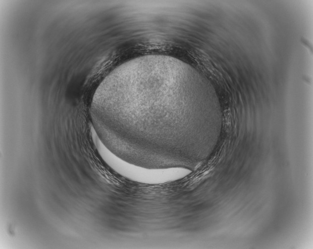X0000093500916200710261135