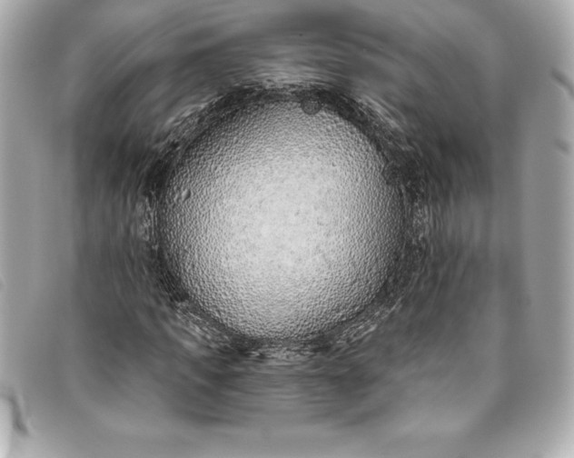 X0000093500917200710261135