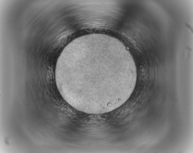 X0000093500918200710261135