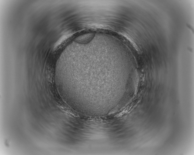 X0000093500919200710261135