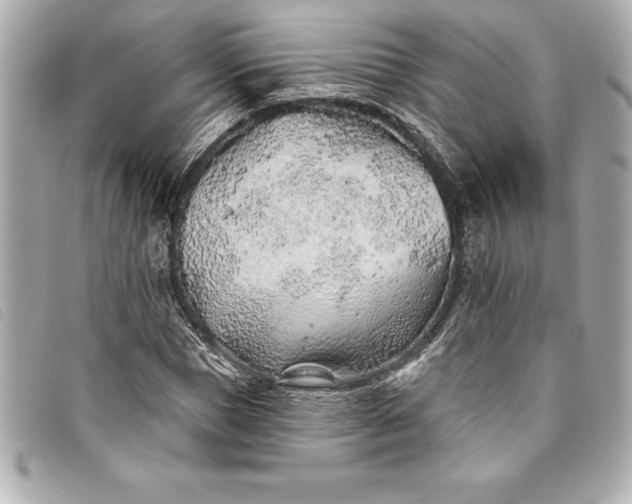 X0000093500921200710261135