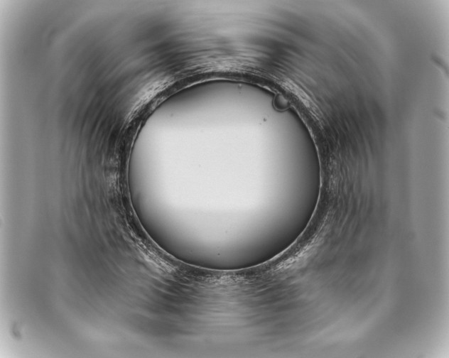 X0000093500922200710261135