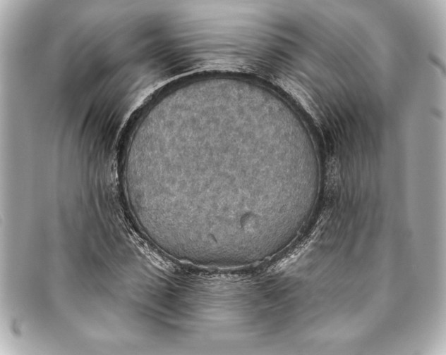 X0000093500923200710261135