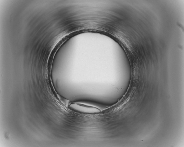 X0000093500924200710261135