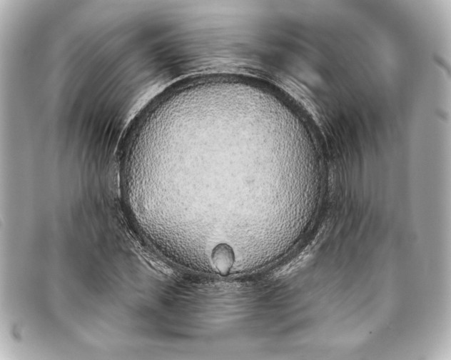 X0000093500925200710261135