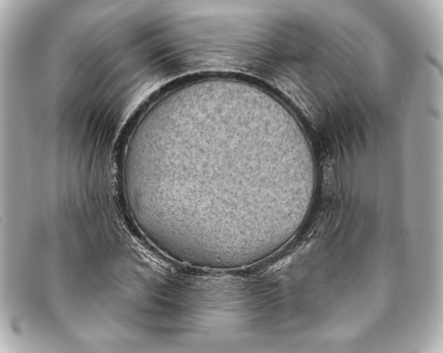 X0000093500926200710261135