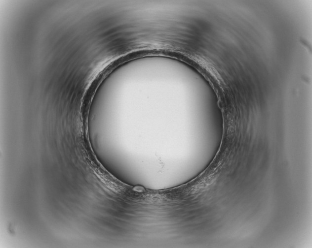 X0000093500927200710261135