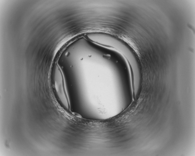 X0000093500928200710261135