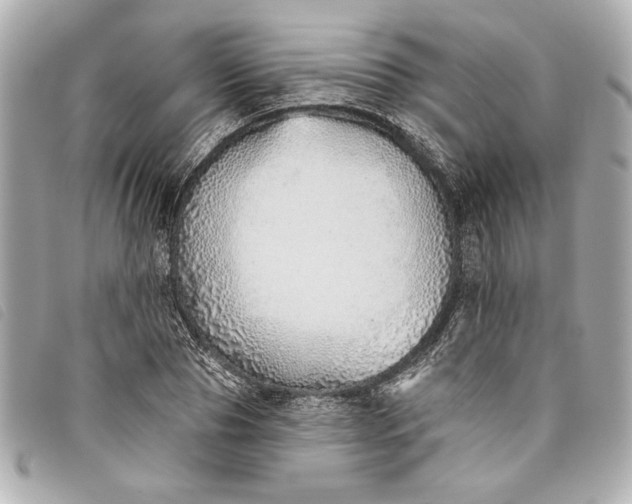X0000093500929200710261135