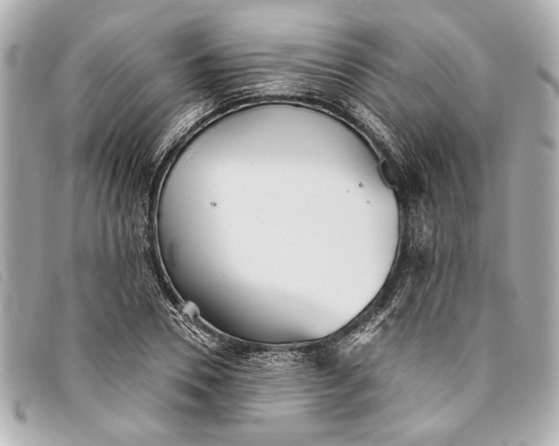 X0000093500930200710261135