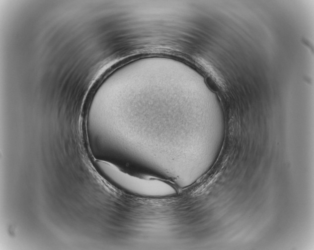X0000093500932200710261135