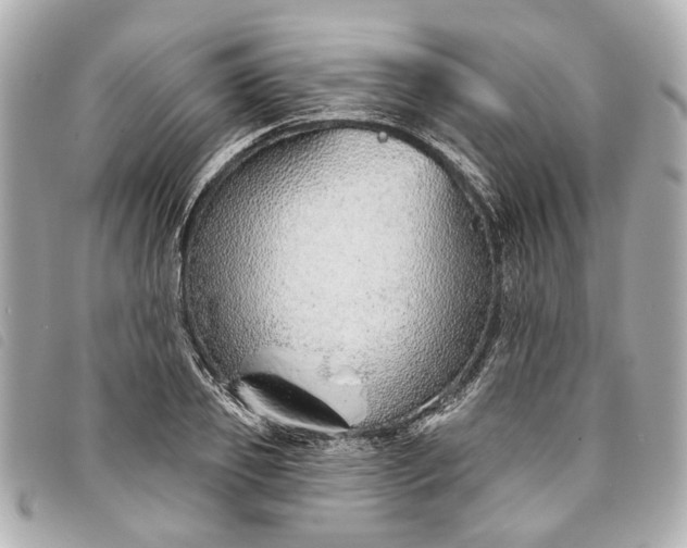 X0000093500933200710261135