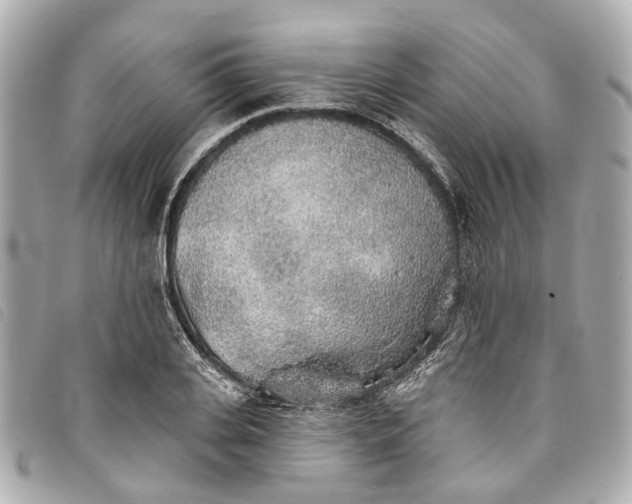 X0000093500935200710261135