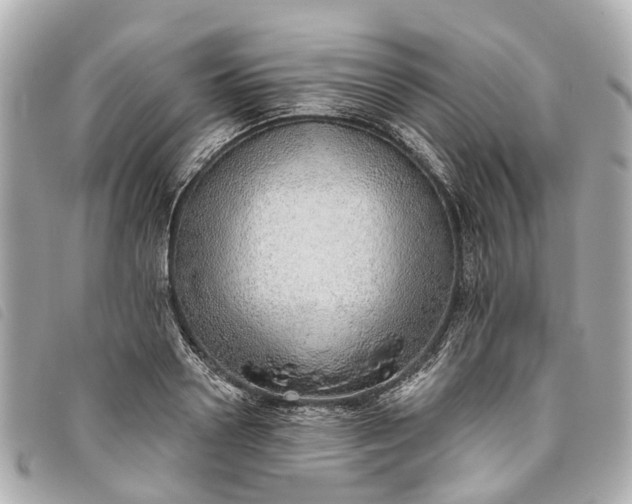 X0000093500938200710261135