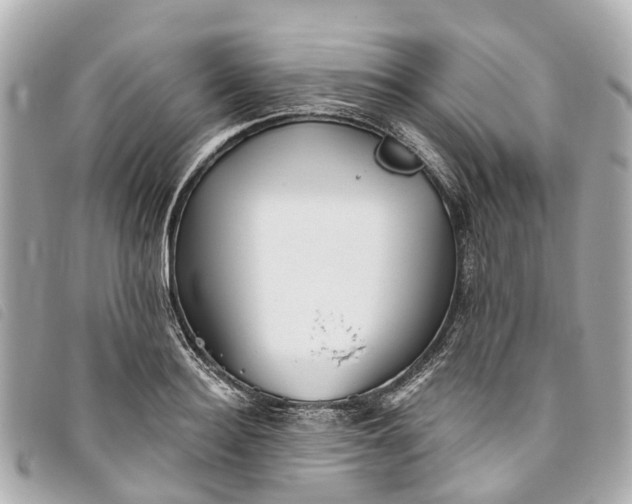 X0000093500940200710261135
