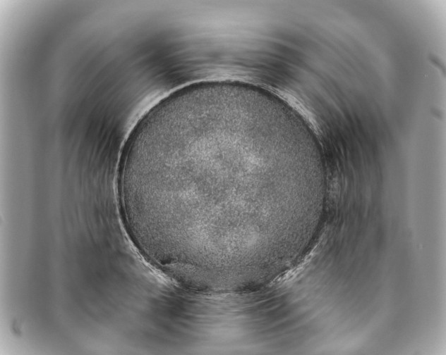 X0000093500943200710261135