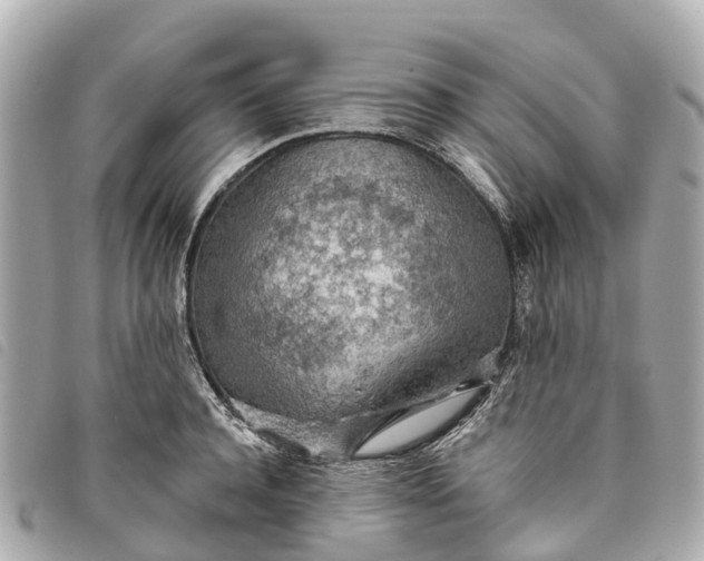 X0000093500944200710261135