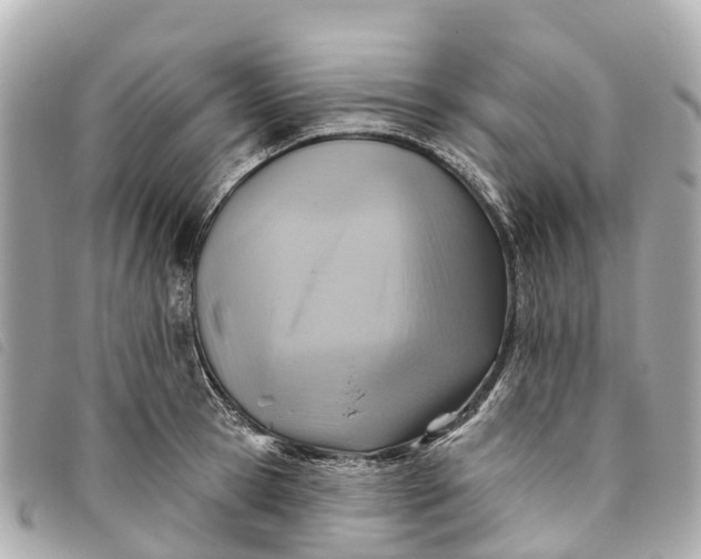 X0000093500945200710261135