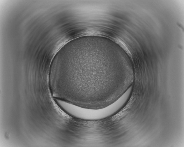 X0000093500946200710261135