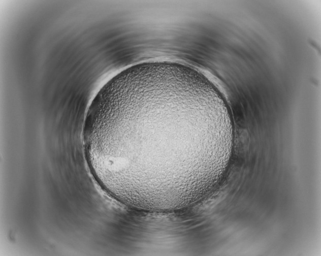 X0000093500951200710261135