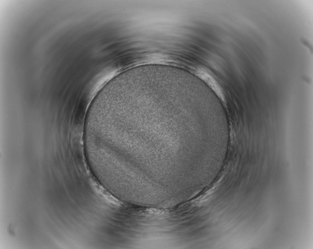 X0000093500954200710261135