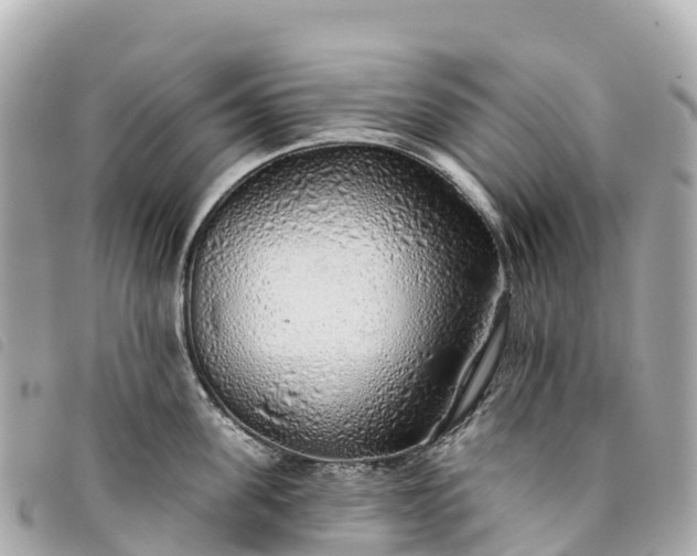 X0000093500955200710261135
