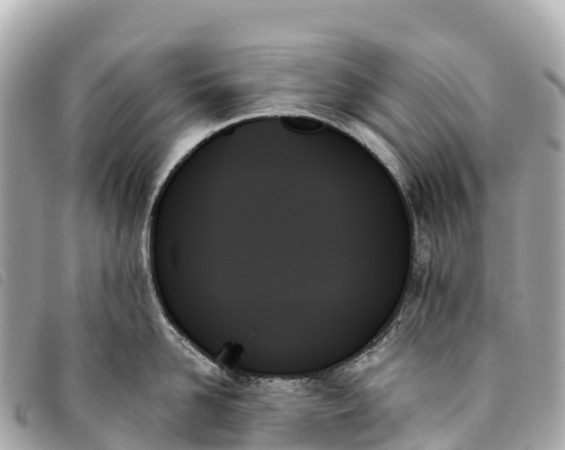 X0000093500958200710261135