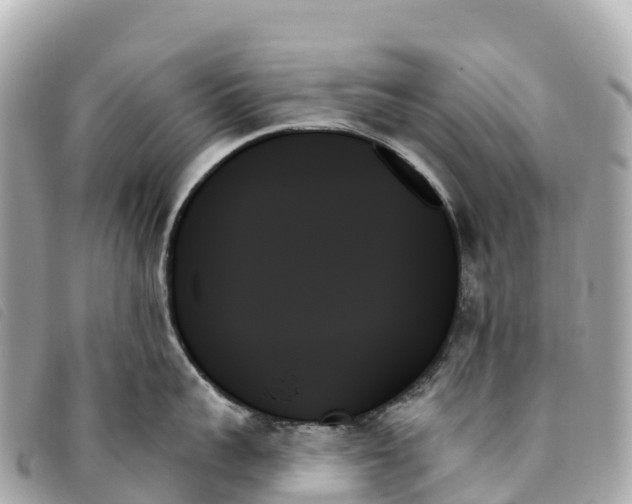 X0000093500959200710261135