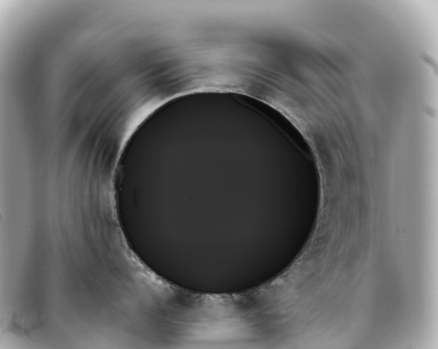 X0000093500960200710261135
