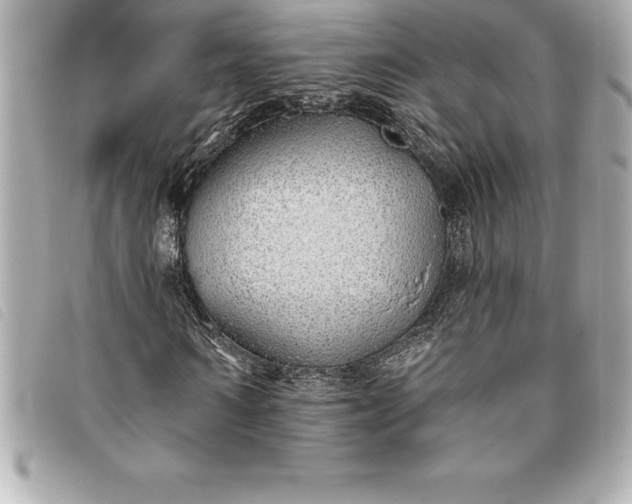 X0000093500962200710261135