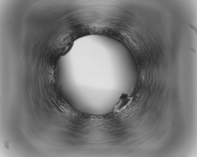 X0000093500964200710261135