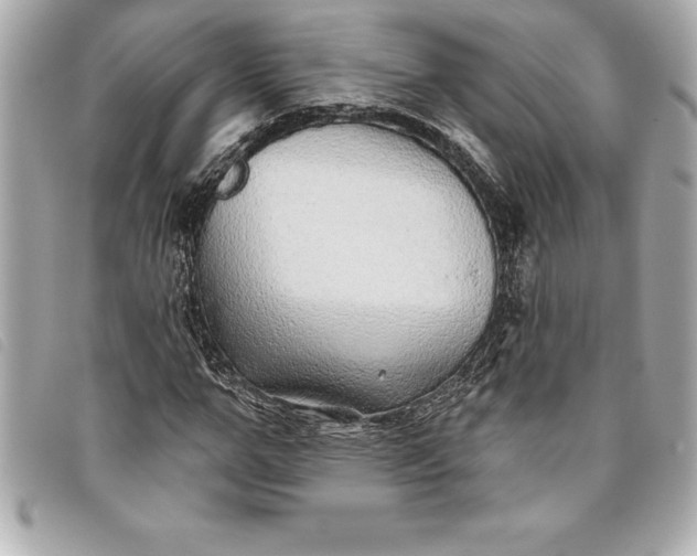 X0000093500967200710261134
