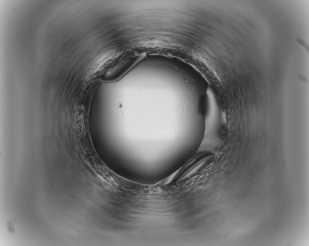 X0000093500968200710261134