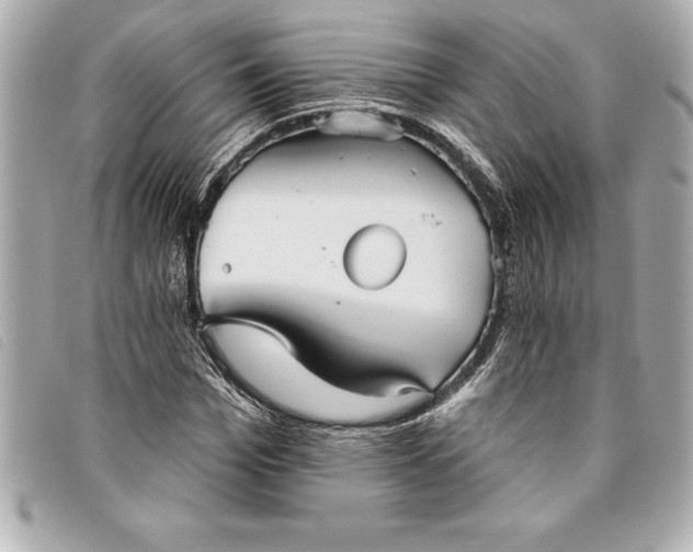 X0000093500969200710261134