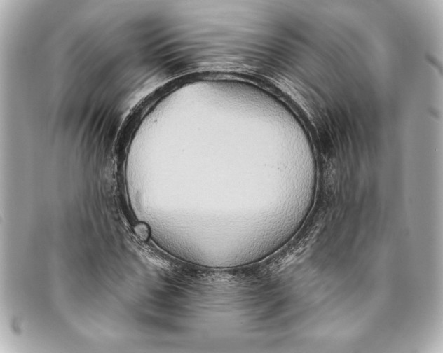 X0000093500971200710261134