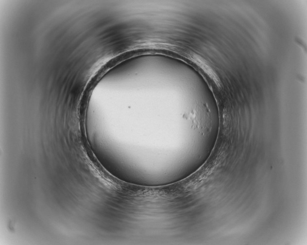 X0000093500972200710261134
