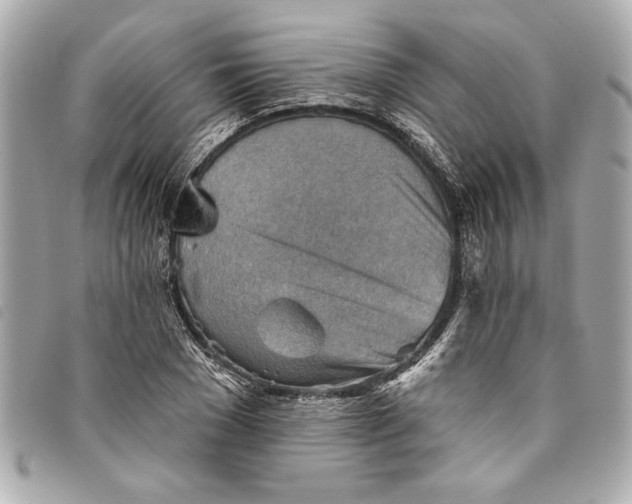 X0000093500977200710261134