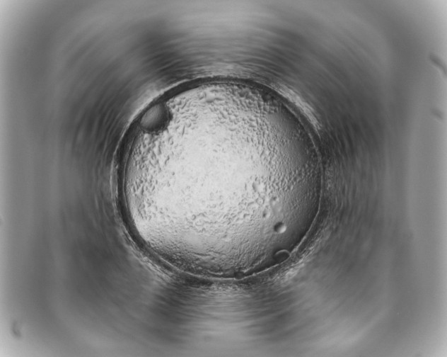 X0000093500983200710261134