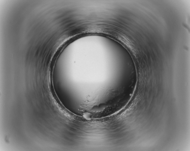 X0000093500984200710261134