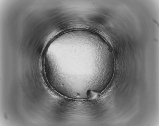 X0000093500987200710261134
