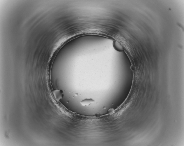 X0000093500989200710261134