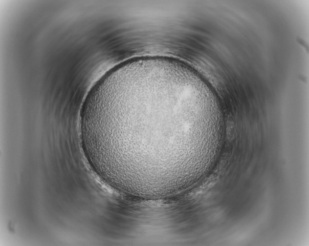 X0000093500990200710261134